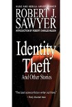 Читать книгу Identity Theft