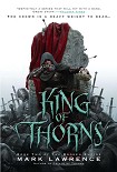 Читать книгу King of Thorns