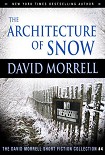 Читать книгу The Architecture of Snow