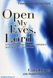 Читать книгу Открой мои глаза, Господь: Практическое руководство к ангельским посещениям и небесному переживанию