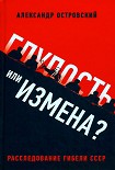 Читать книгу Глупость или измена? Расследование гибели СССР