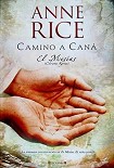 Читать книгу Camino A Cana