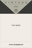 Читать книгу Tar Baby