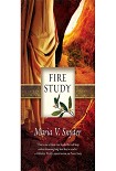Читать книгу Fire Study - Study 03