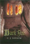 Читать книгу Dark Fire