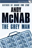 Читать книгу The Grey Man