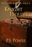 Читать книгу Knight Esquire