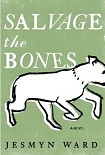 Читать книгу Salvage the Bones