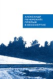Читать книгу Александр Печерский: Прорыв в бессмертие