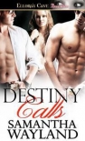 Читать книгу Destiny Calls