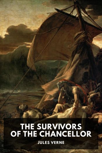 Читать книгу The Survivors of the Chancellor