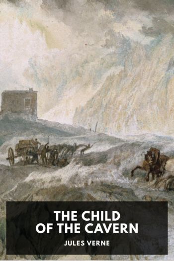 Читать книгу The Child of the Cavern