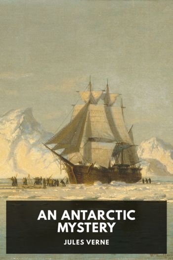 Читать книгу An Antarctic Mystery