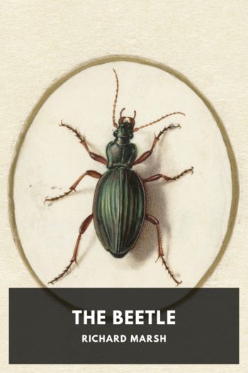 Читать книгу The Beetle