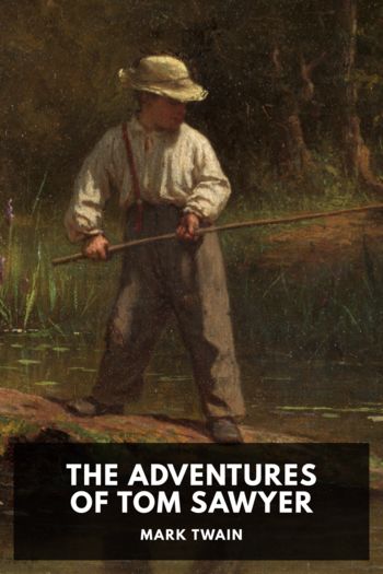 Читать книгу The Adventures of Tom Sawyer
