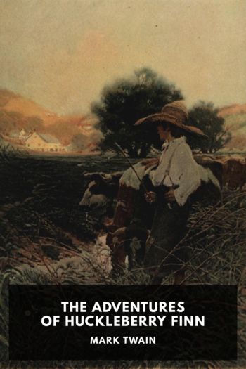 Читать книгу The Adventures of Huckleberry Finn