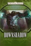 Читать книгу Downshadow