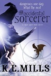 Читать книгу The Accidental sorcerer