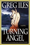 Читать книгу Turning Angel
