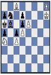 Читать книгу Шахматные задачи