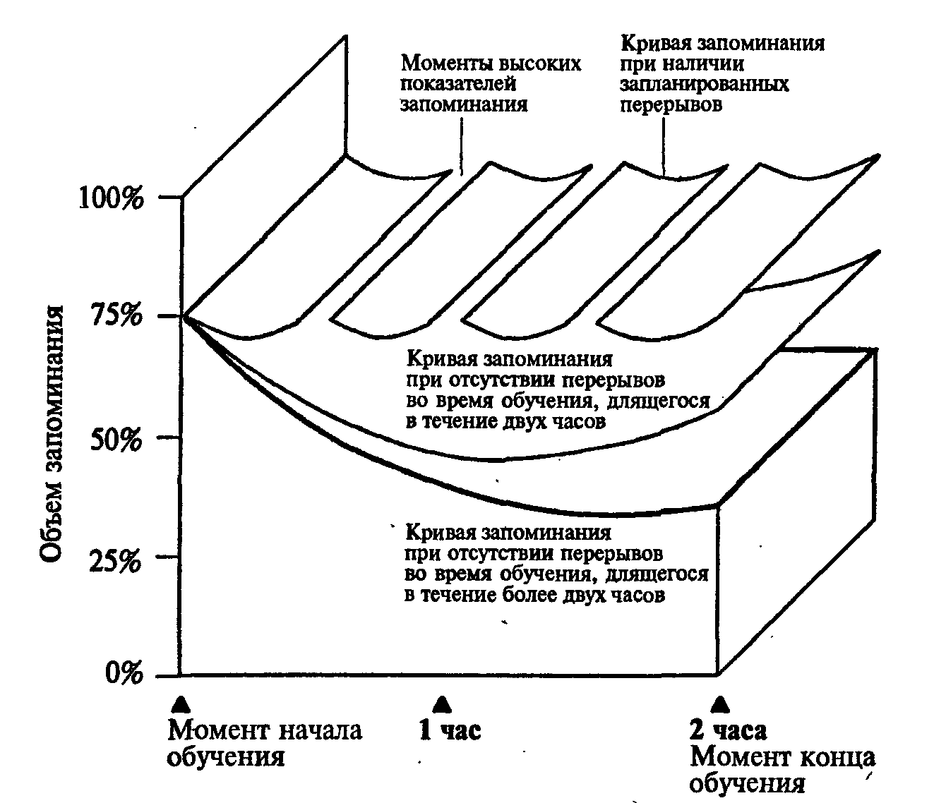 Кривая запоминания 10 слов. Кривая запоминания. График запоминания. Кривая памяти. Кривая запоминания примеры.