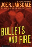 Читать книгу Bullets and Fire