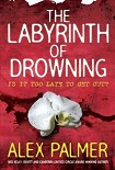 Читать книгу The Labyrinth of Drowning