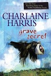 Читать книгу Grave Secret
