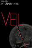 Читать книгу Veil
