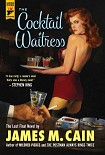 Читать книгу The Cocktail Waitress