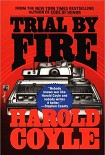 Читать книгу Trial by Fire