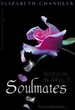 Читать книгу Soulmates