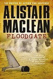 Читать книгу Floodgate