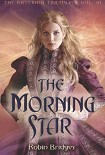 Читать книгу The Morning Star