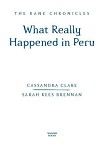 Читать книгу What Really Happened in Peru
