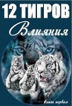 Читать книгу Виктор Орлов - Тигр Внутреннего Разрыва