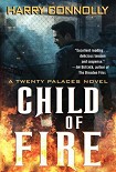 Читать книгу Child of Fire